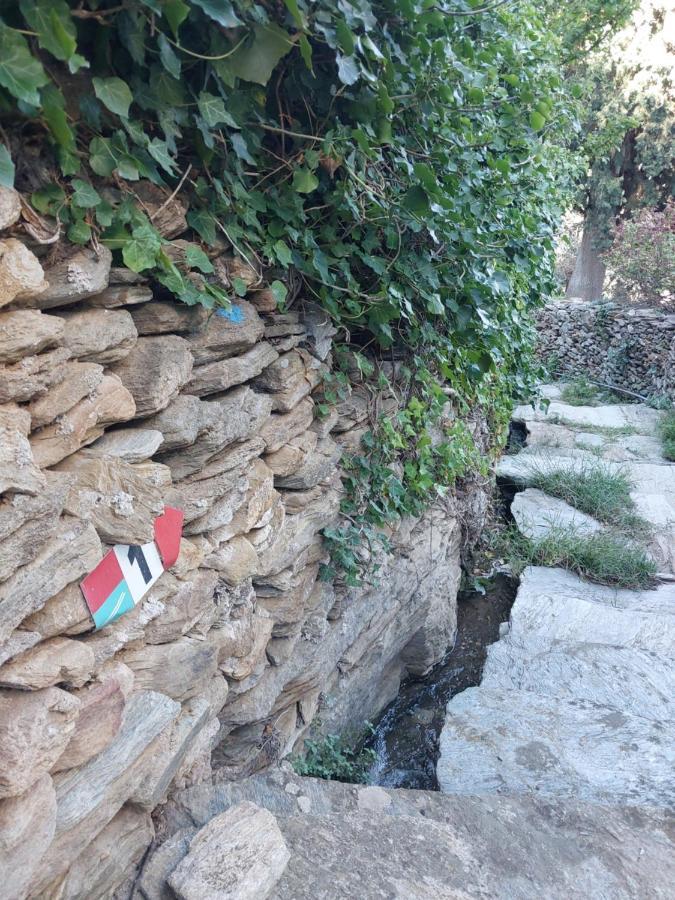 Ipsila Pure Nature House מראה חיצוני תמונה