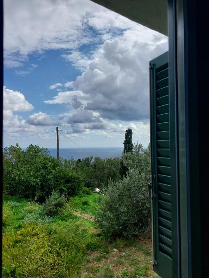 Ipsila Pure Nature House מראה חיצוני תמונה