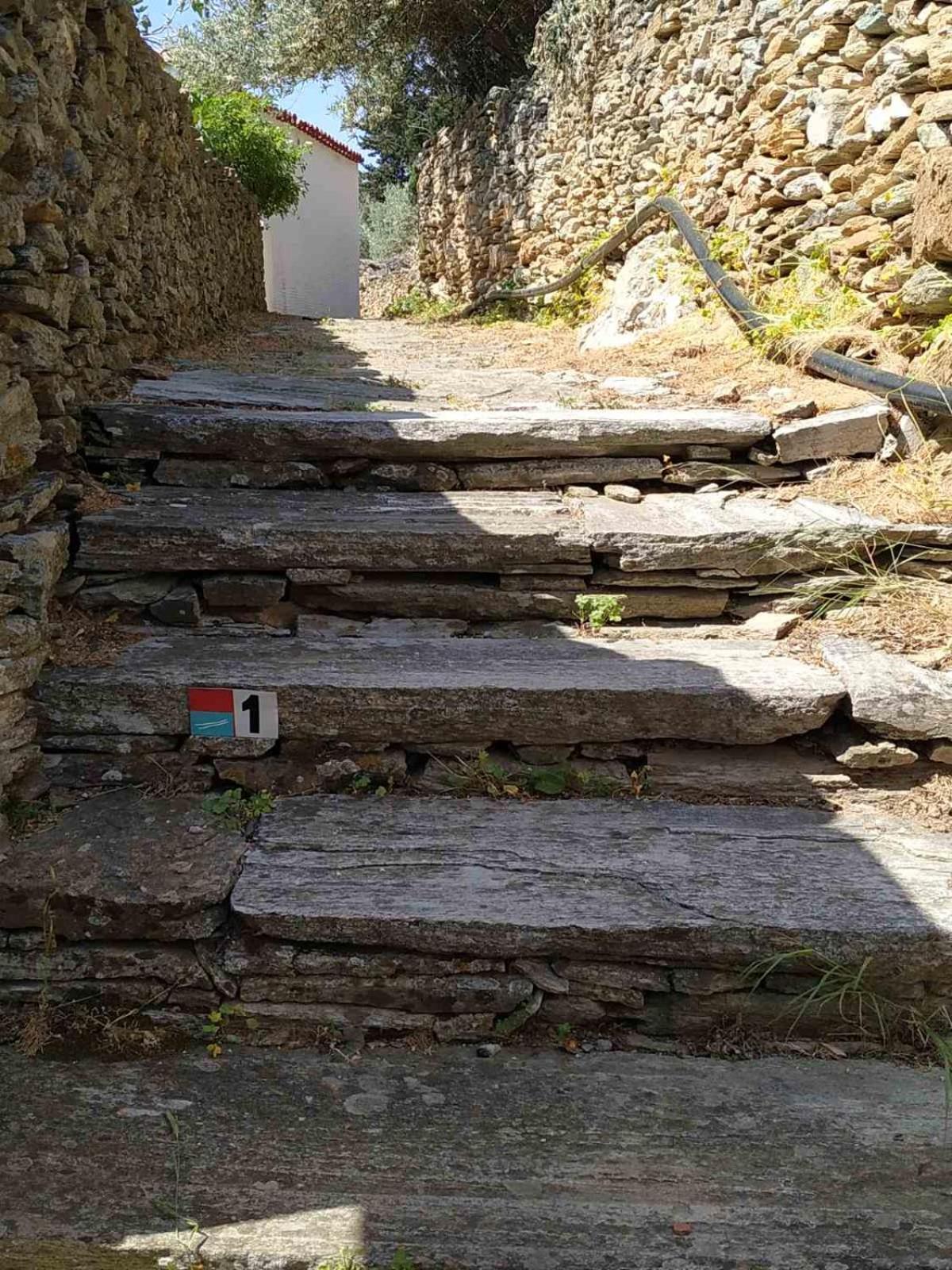 Ipsila Pure Nature House מראה חיצוני תמונה