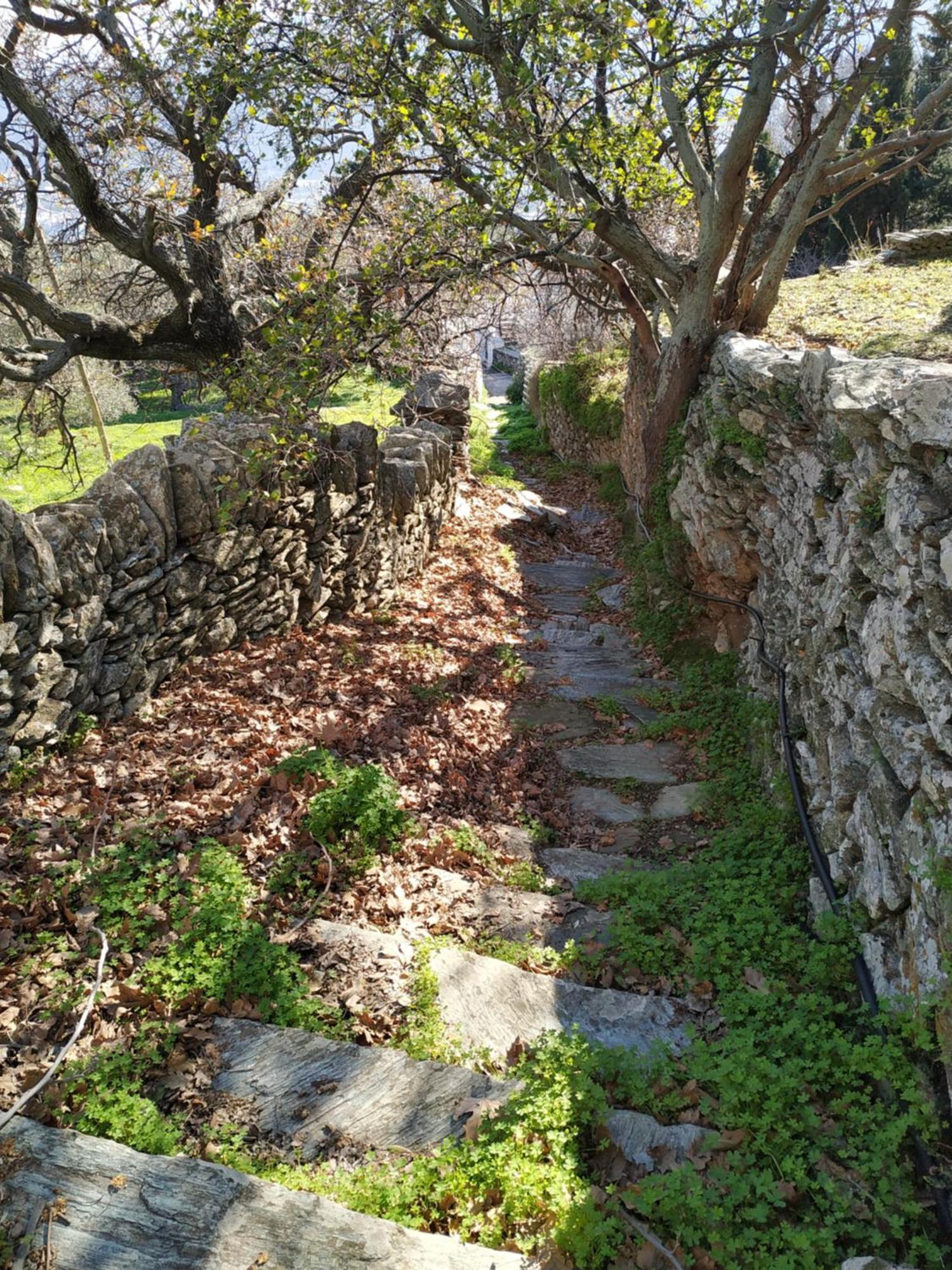 Ipsila Pure Nature House מראה חיצוני תמונה